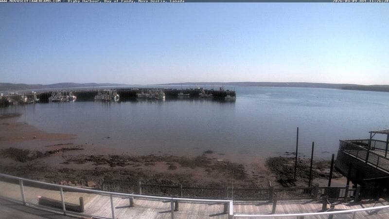 Digby Harbour