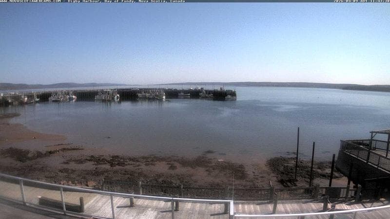 Digby Harbour