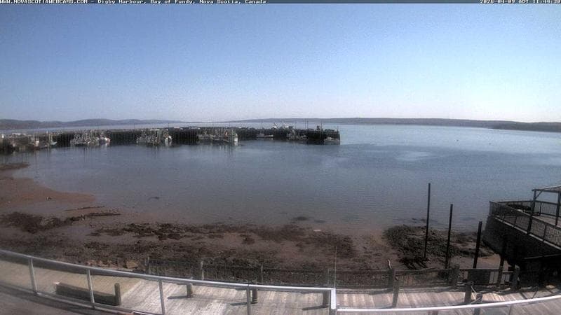 Digby Harbour