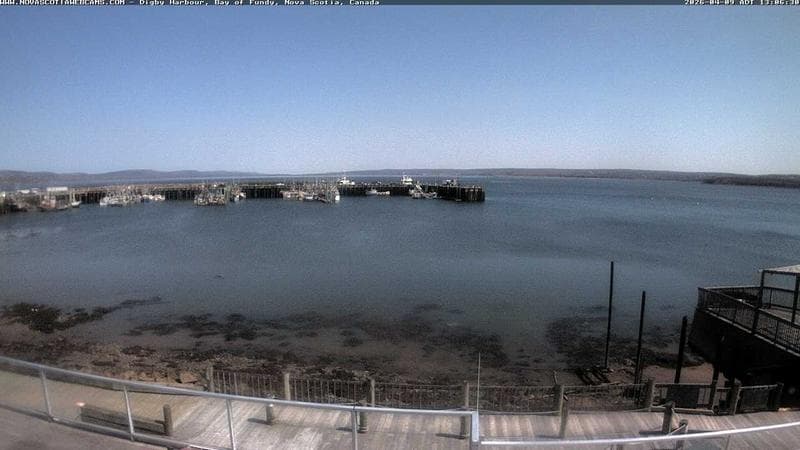 Digby Harbour