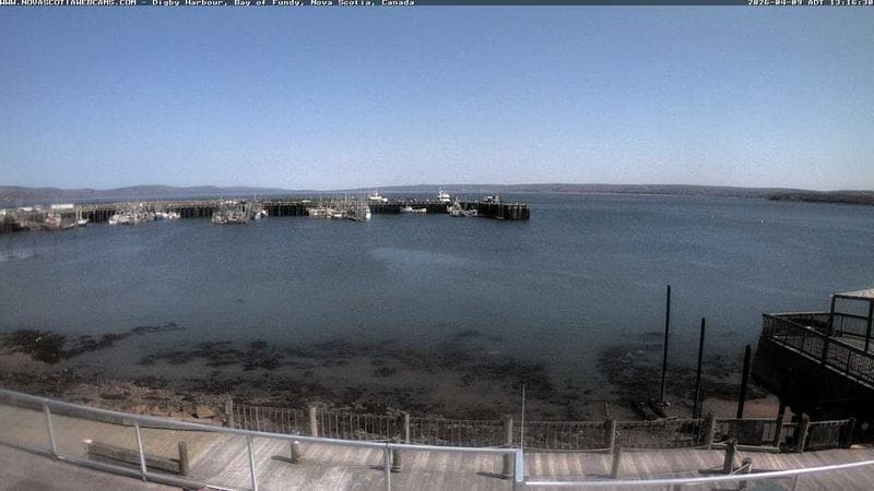 Digby Harbour