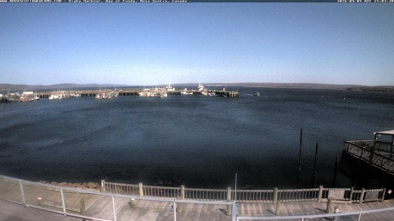 Digby Harbour