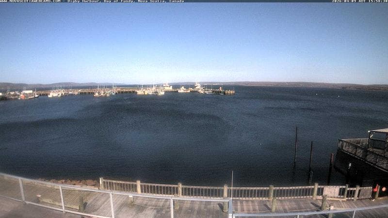 Digby Harbour