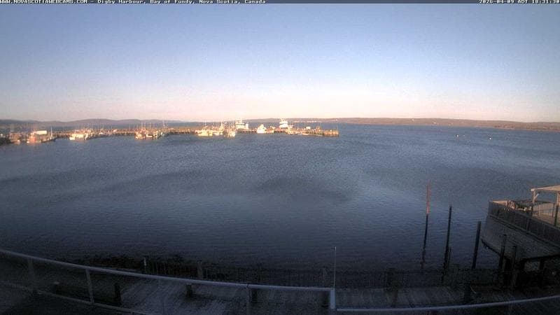 Digby Harbour