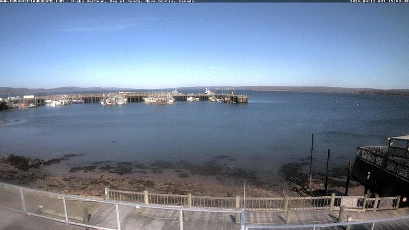 Digby Harbour