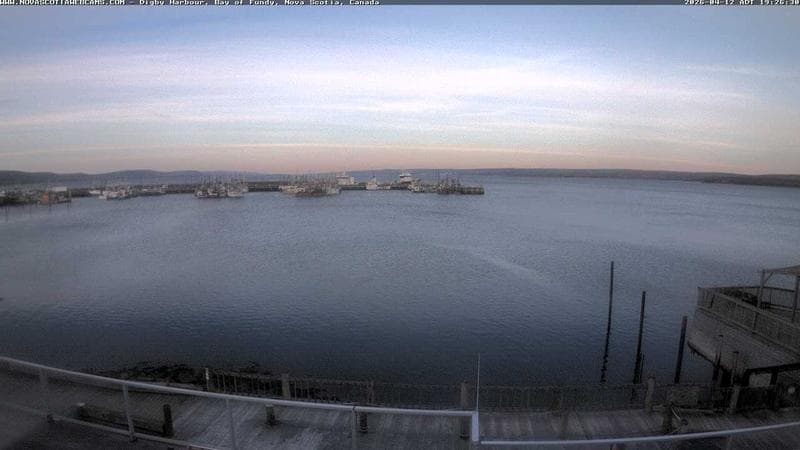 Digby Harbour