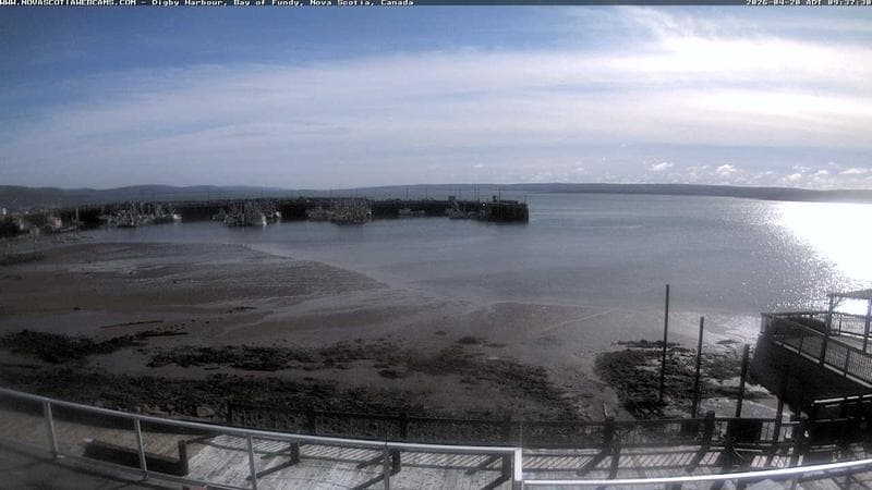 Digby Harbour