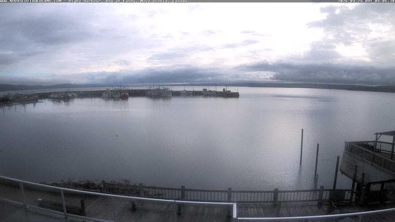 Digby Harbour