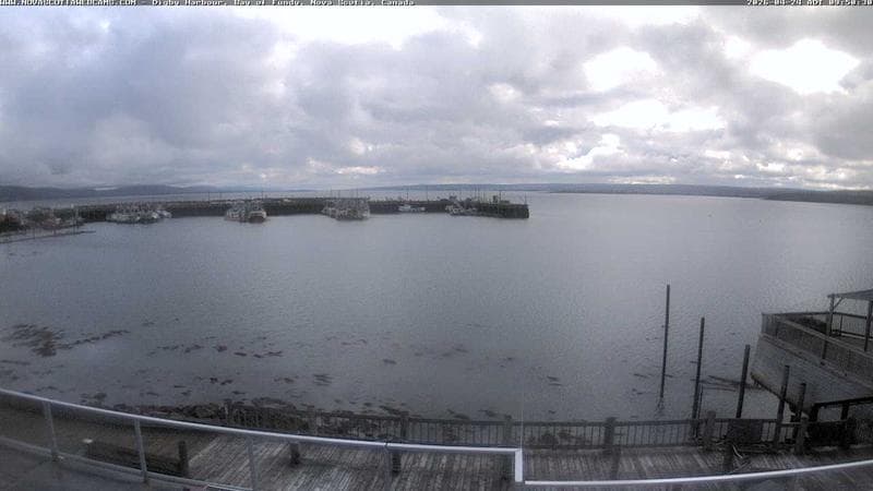 Digby Harbour