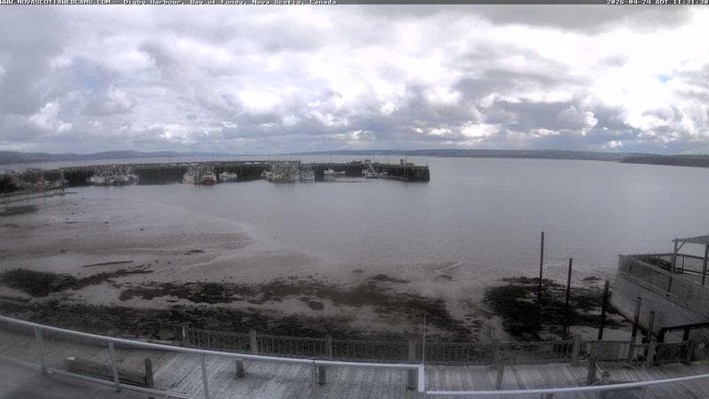 Digby Harbour