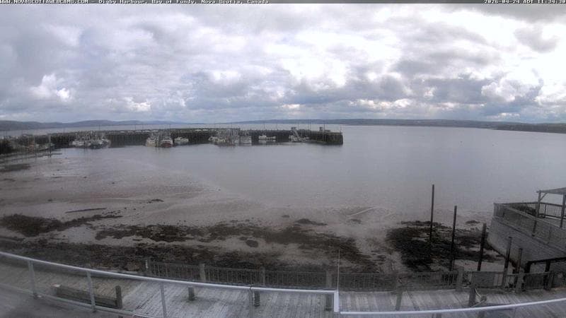 Digby Harbour