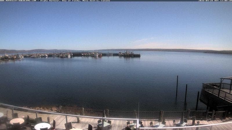 Digby Harbour