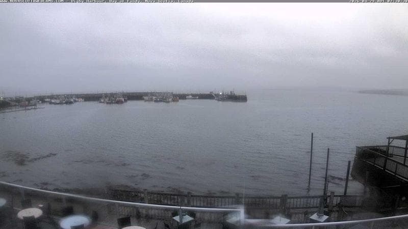 Digby Harbour