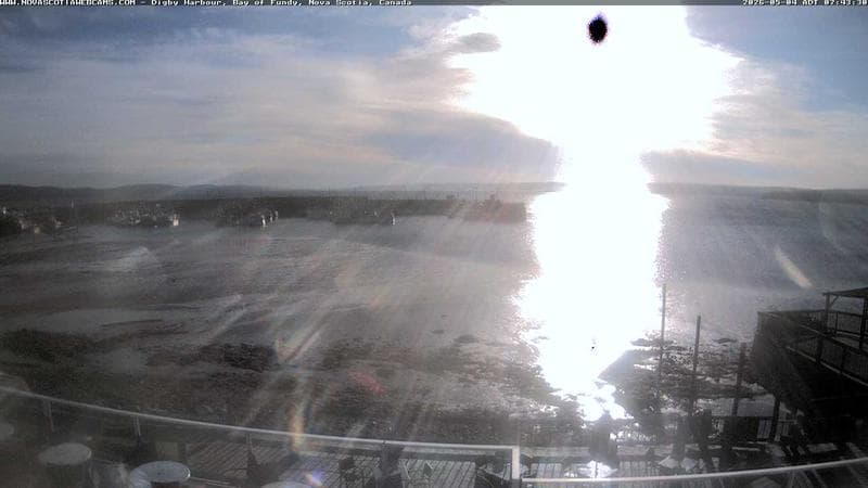 Digby Harbour
