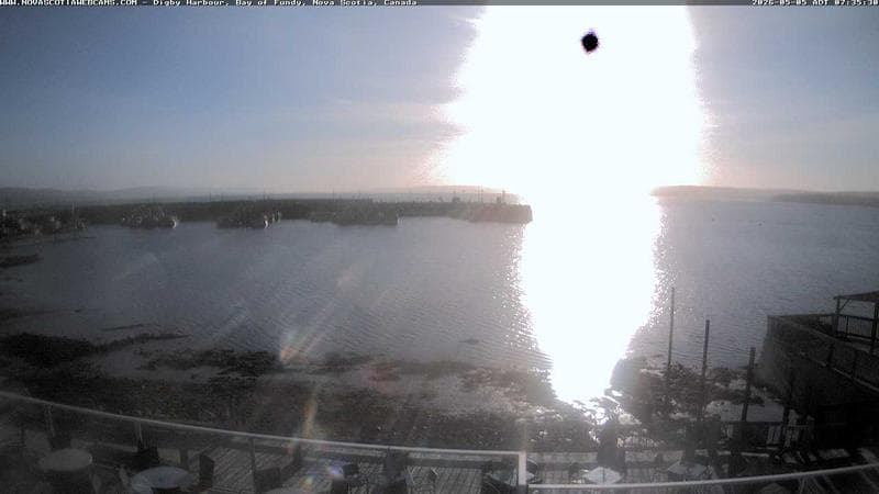 Digby Harbour