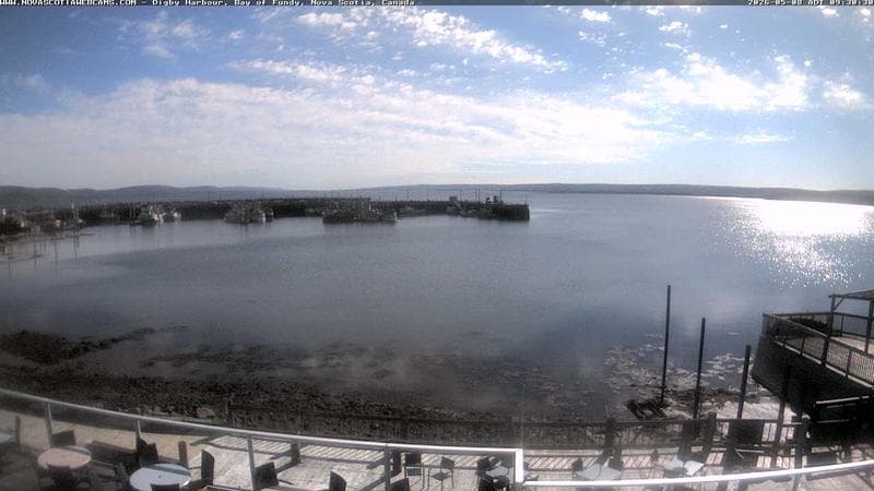 Digby Harbour