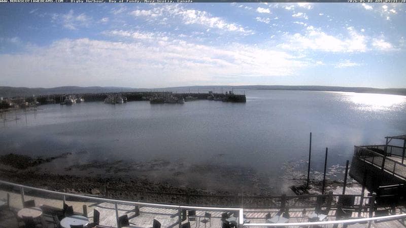 Digby Harbour