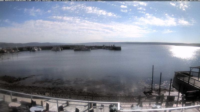 Digby Harbour