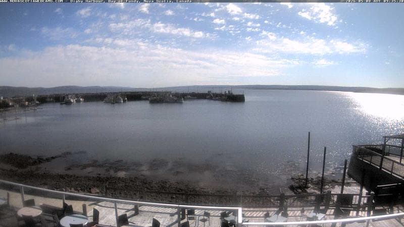 Digby Harbour