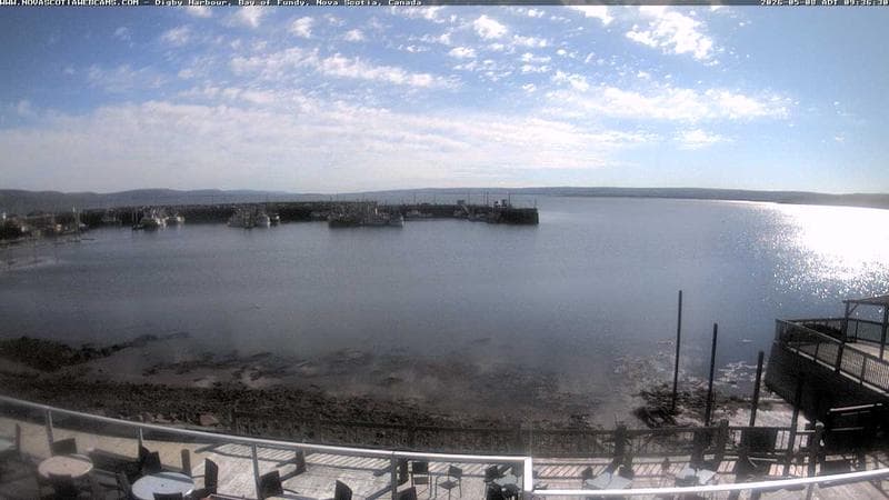 Digby Harbour