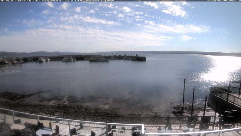 Digby Harbour