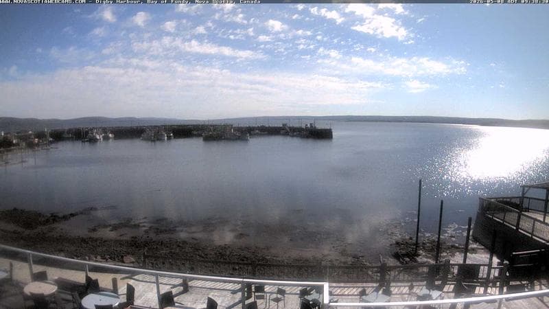 Digby Harbour