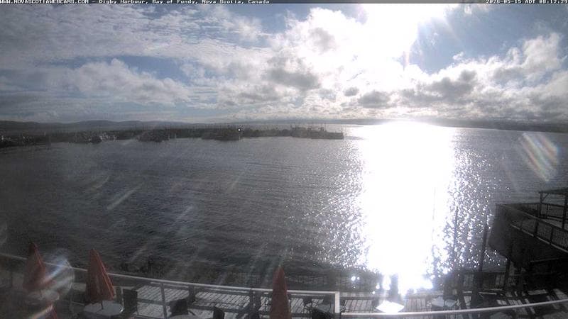Digby Harbour