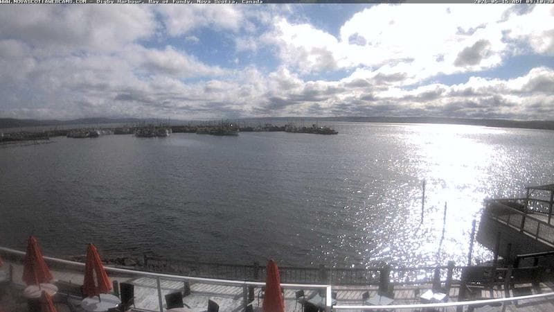 Digby Harbour