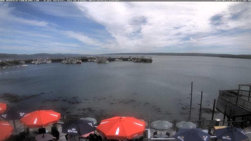 Digby Harbour