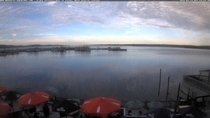 Digby Harbour