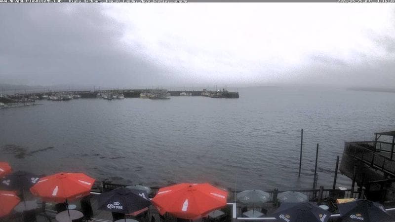 Digby Harbour