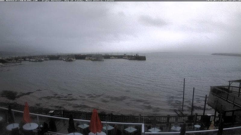 Digby Harbour