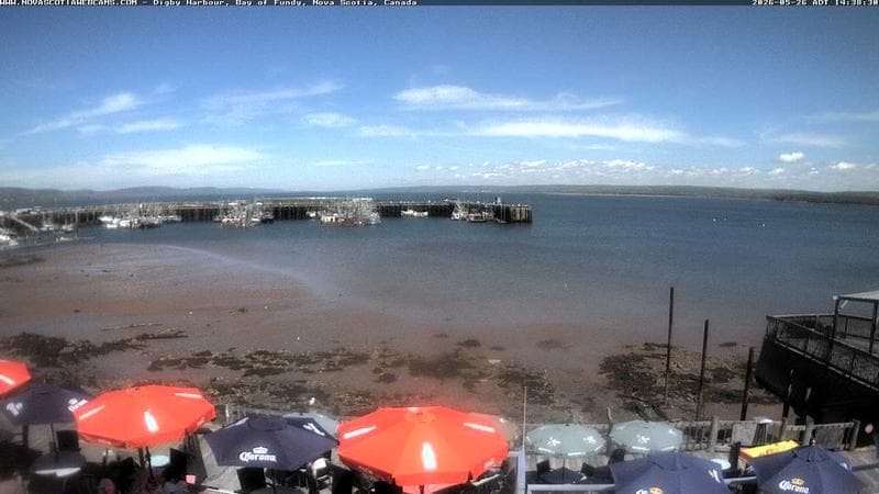 Digby Harbour