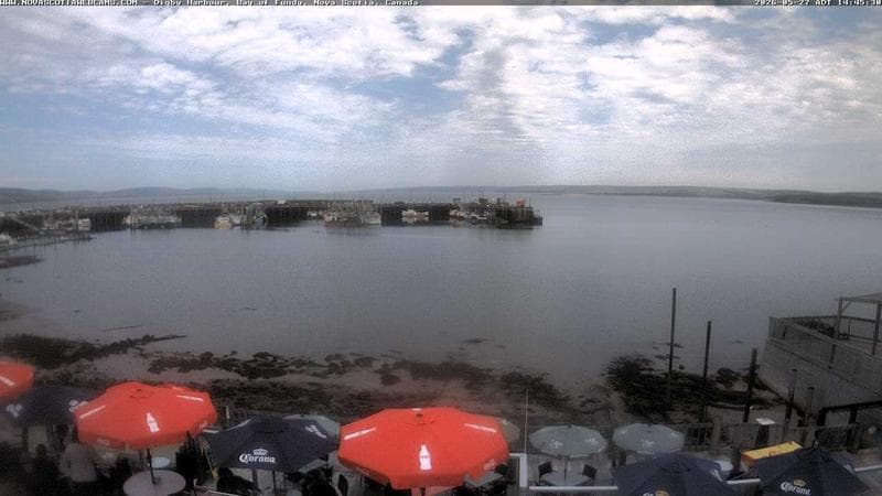 Digby Harbour
