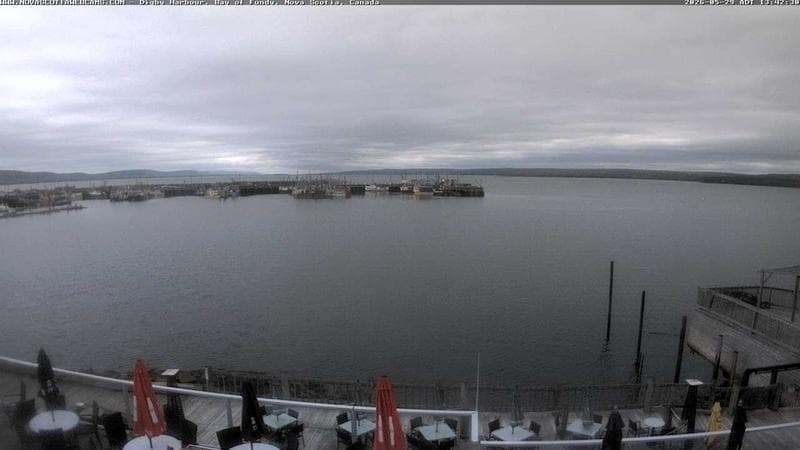 Digby Harbour