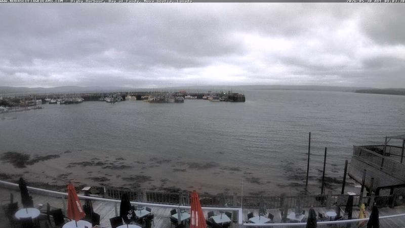 Digby Harbour