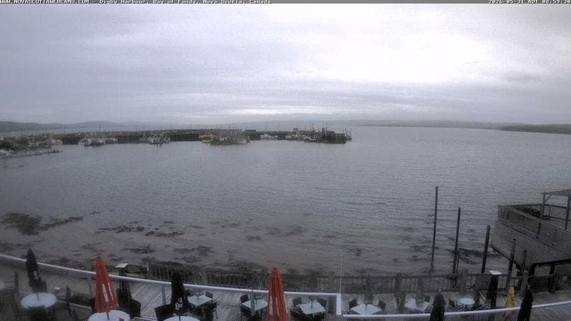 Digby Harbour