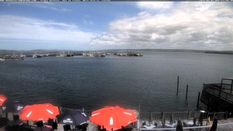 Digby Harbour