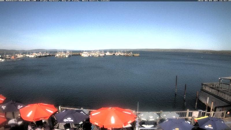 Digby Harbour