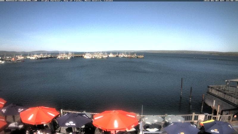 Digby Harbour