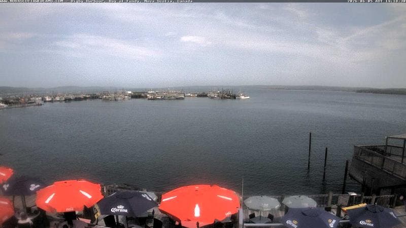 Digby Harbour