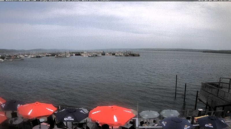Digby Harbour