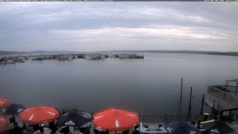 Digby Harbour