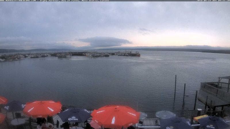 Digby Harbour