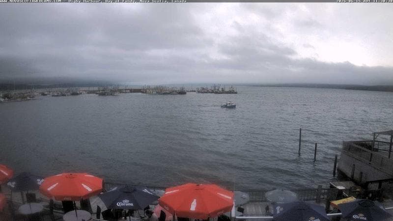 Digby Harbour