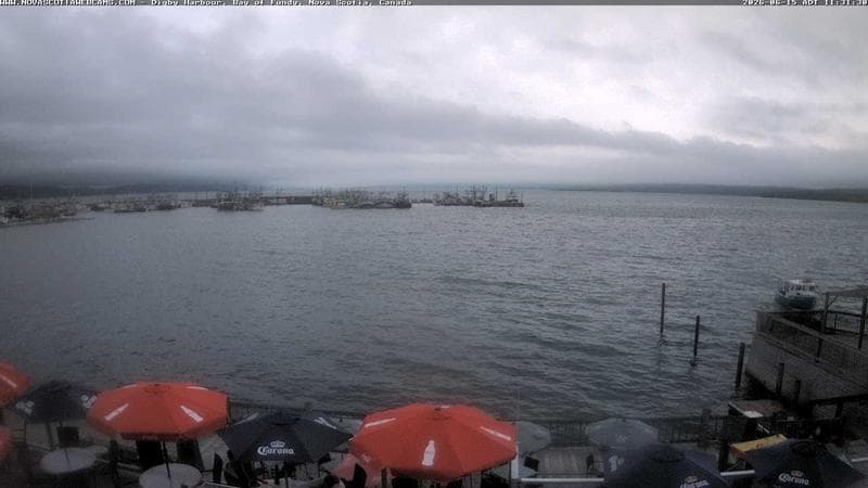 Digby Harbour