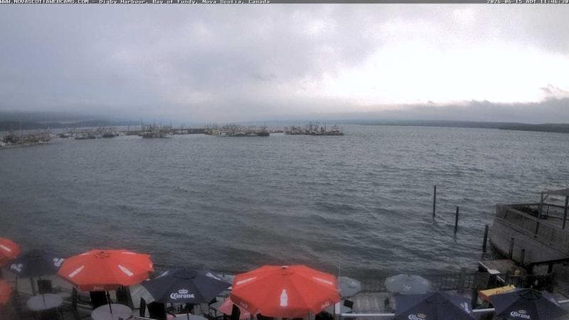 Digby Harbour