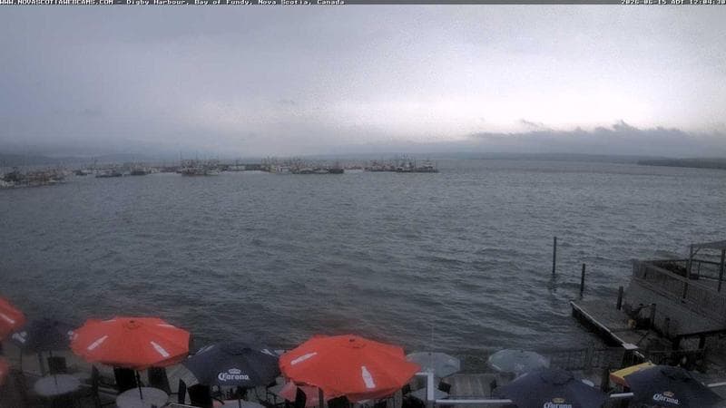 Digby Harbour