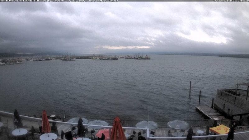 Digby Harbour