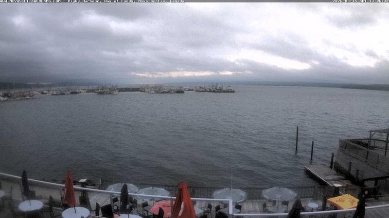 Digby Harbour